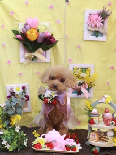 20230301ノアちゃん